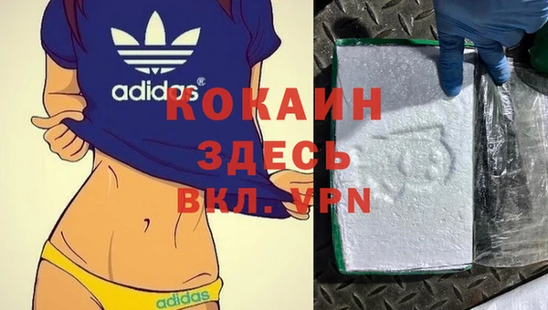 СК Белокуриха