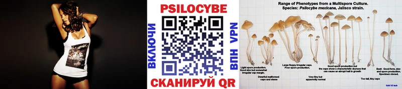 Галлюциногенные грибы GOLDEN TEACHER  как найти закладки  нарко площадка состав  Гулькевичи 